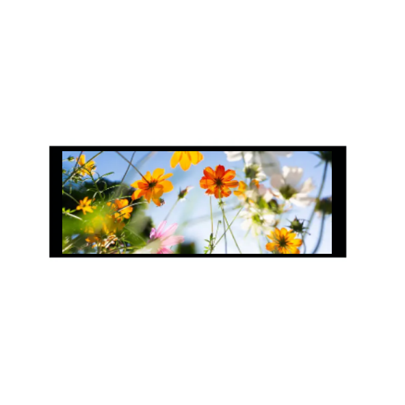 6,86 polegadas 480 × 1280 módulo TFT IPS
