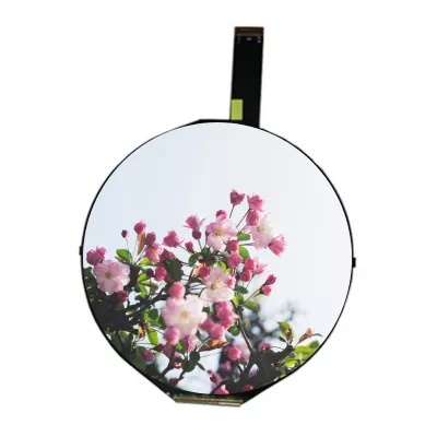 7 polegadas 1080 × 1080 Round IPS TFT LCD