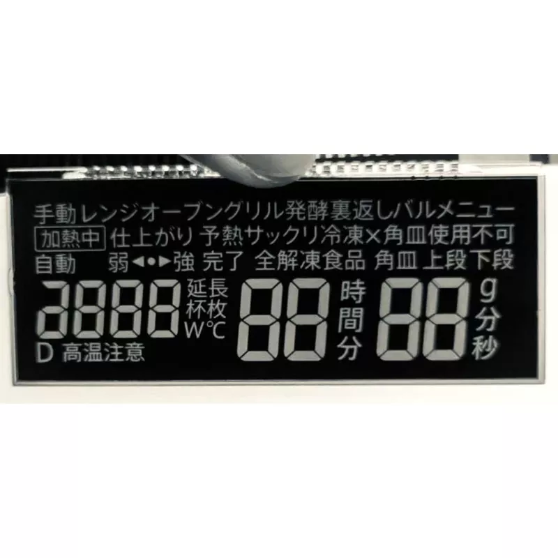 Módulo LCD do segmento VA